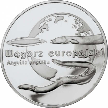 Rewers monety 20 zł Węgorz europejski (łac. Anguilla anguilla)