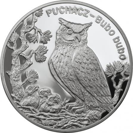 Rewers monety 20 zł Puchacz (łac. Bubo bubo)