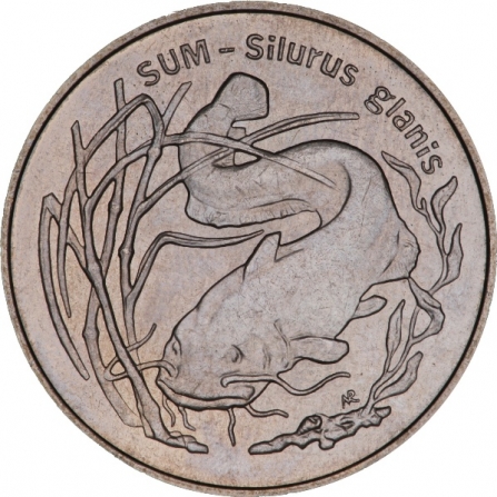 Rewers monety 2 zł Sum (łac. Silurus glanis)