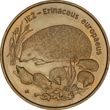Rewers monety 2 zł Jeż (łac. Erinaceus europaeus)