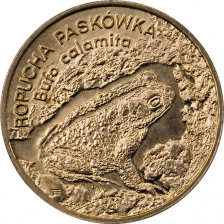 Rewers monety 2 zł Ropucha paskówka (łac. Bufo calamita)