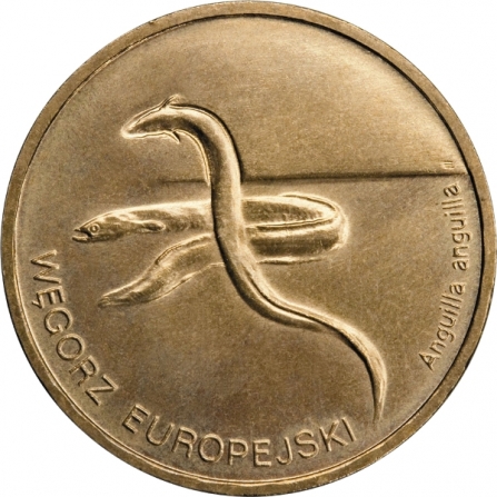 Rewers monety 2 zł Węgorz europejski (łac. Anguilla anguilla)