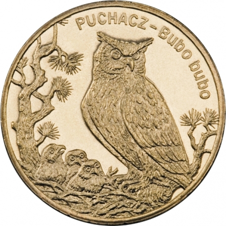Rewers monety 2 zł Puchacz (łac. Bubo bubo)