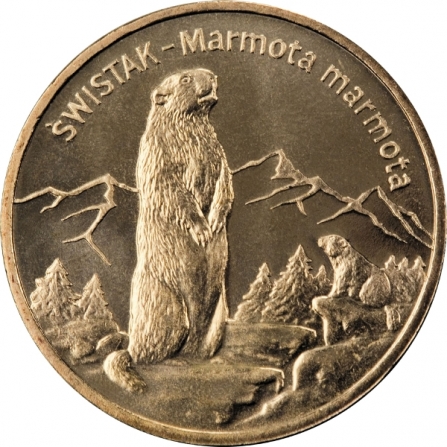 Rewers monety 2 zł Świstak (łac. Marmota marmota)