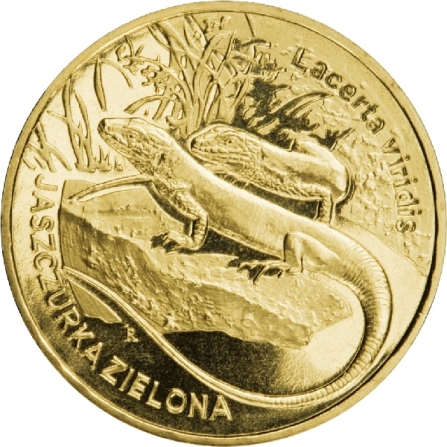 Rewers monety 2 zł Jaszczurka zielona (łac. Lacerta viridis)