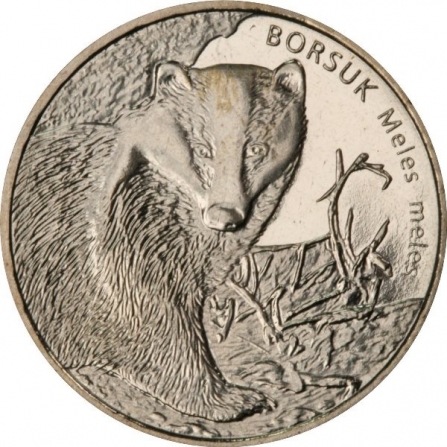 Rewers monety 2 zł Borsuk (łac. Meles meles)