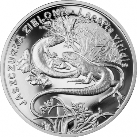 Coin reverse 20 pln The European Green Lizard (Lacerta viridis)