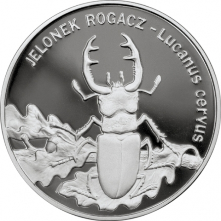 Rewers monety 20 zł Jelonek rogacz (łac. Lucanus cervus)