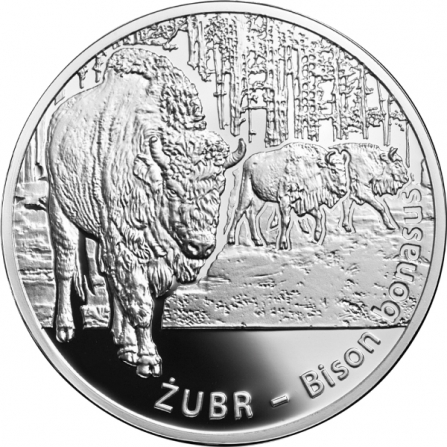 Rewers monety 20 zł Żubr (łac. Bison bonasus)