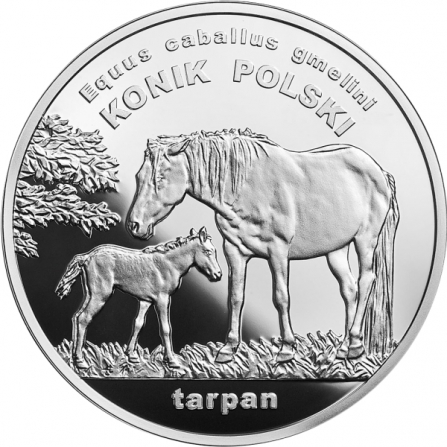 Rewers monety 20 zł Konik polski (łac. Equus caballus gmelini)