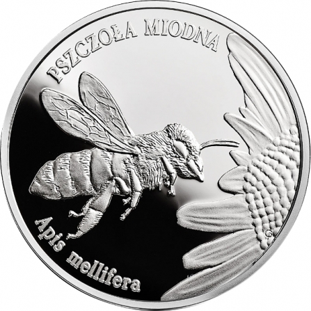 Rewers monety 20 zł Pszczoła miodna (łac. Apis mellifera)