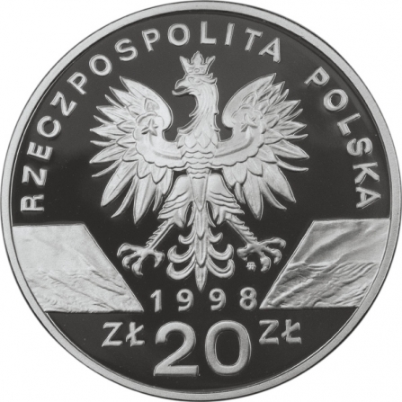 Awers monety20 zł Ropucha paskówka (łac. Bufo calamita)