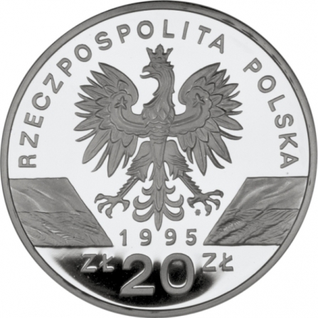 Coin obverse 20 pln The Catfish (Silurus glanis)