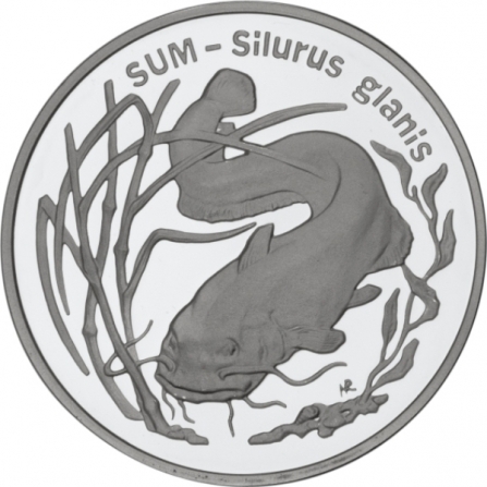 Rewers monety 20 zł Sum (łac. Silurus glanis)