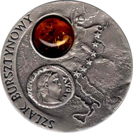 Coin reverse 20 pln Amber Route