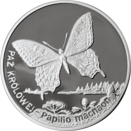 Rewers monety 20 zł Paź królowej (łac. Papilio machaon)
